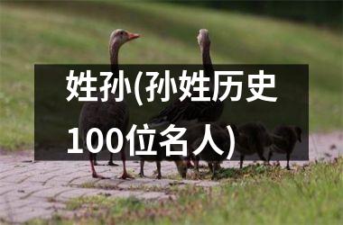 <h3>姓孙(孙姓历史100位名人)