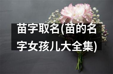 <h3>苗字取名(苗的名字女孩儿大全集)