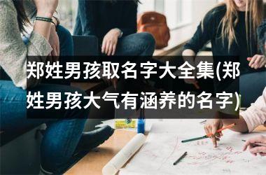 郑姓男孩取名字大全集(郑姓男孩大气有涵养的名字)