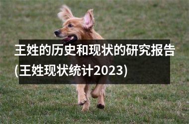 <h3>王姓的历史和现状的研究报告(王姓现状统计2025)