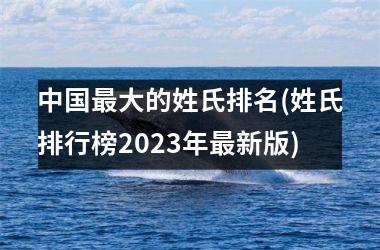 <h3>最大的姓氏排名(姓氏排行榜2025年最新版)