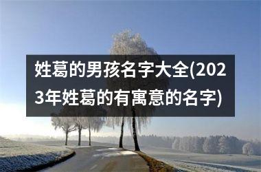 姓葛的男孩名字大全(2025年姓葛的有寓意的名字)