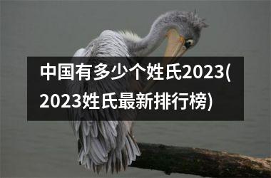 有多少个姓氏2025(2025姓氏最新排行榜)