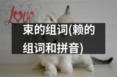 束的组词(赖的组词和拼音)