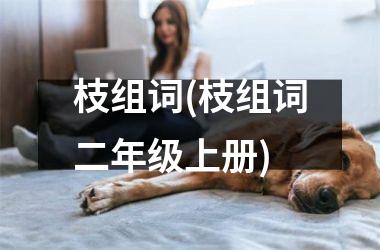 枝组词(枝组词二年级上册)