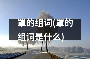 罩的组词(罩的组词是什么)