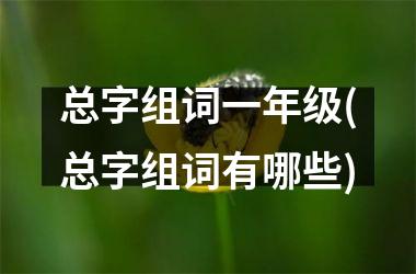 <h3>总字组词一年级(总字组词有哪些)