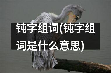 钝字组词(钝字组词是什么意思)