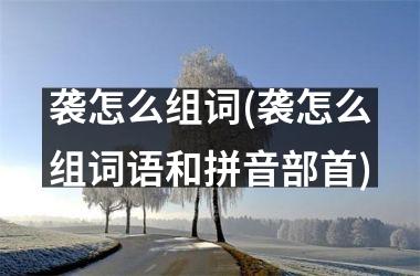 <h3>袭怎么组词(袭怎么组词语和拼音部首)