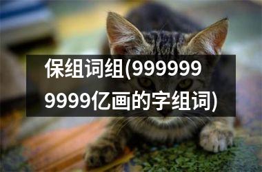 保组词组(9999999999亿画的字组词)