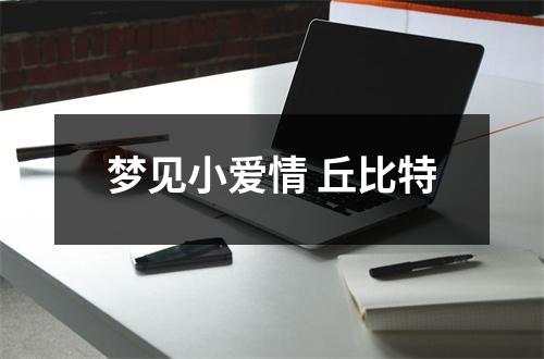 <h3>梦见小爱情丘比特