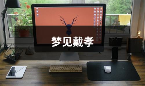 <h3>梦见戴孝