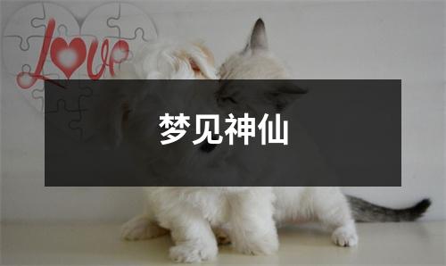 梦见神仙