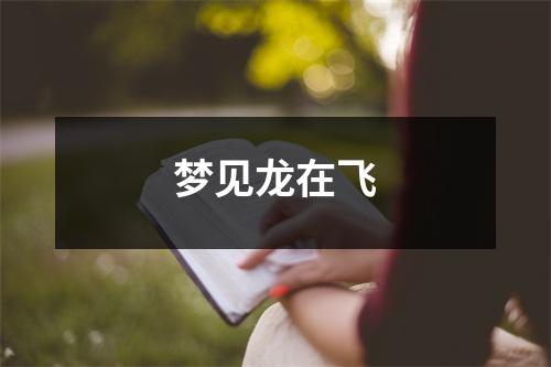 <h3>梦见龙在飞