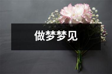 <h3>做梦梦见