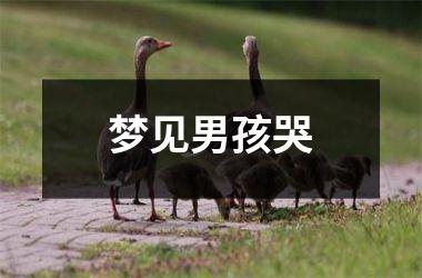 <h3>梦见男孩哭