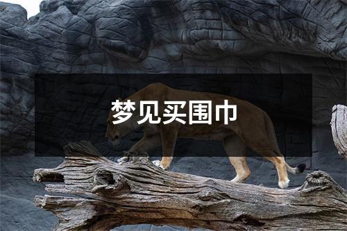 <h3>梦见买围巾