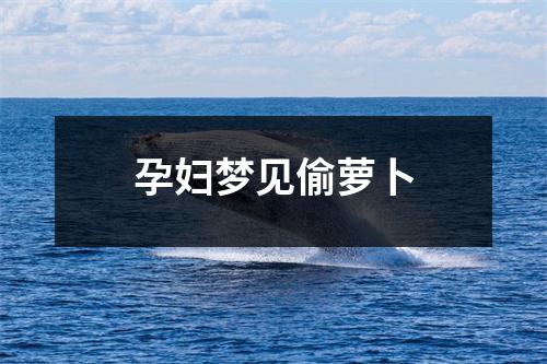 <h3>孕妇梦见偷萝卜