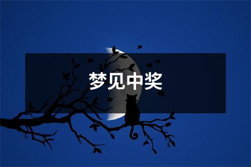 <h3>梦见中奖