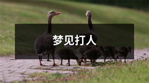<h3>梦见打人