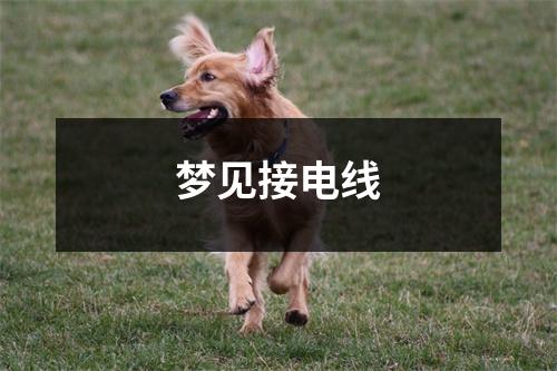 <h3>梦见接电线