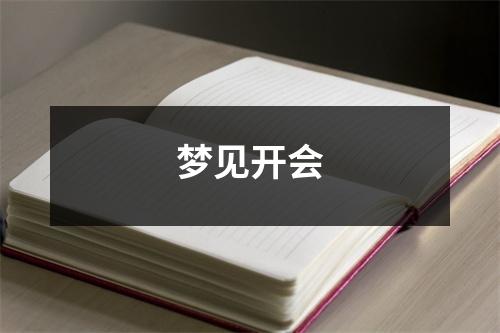 梦见开会