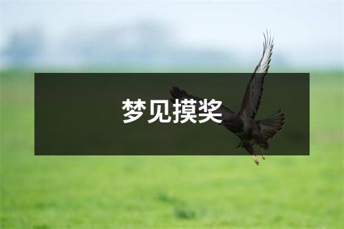 梦见摸奖