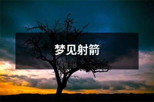 <h3>梦见射箭