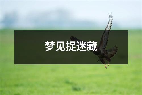 <h3>梦见捉迷藏