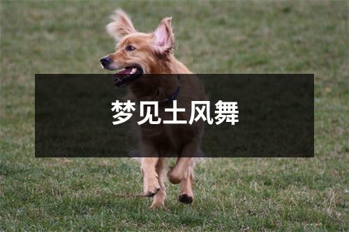 <h3>梦见土风舞