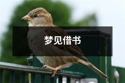 <h3>梦见借书