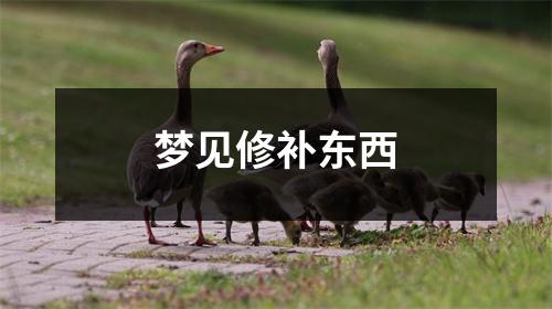 <h3>梦见修补东西