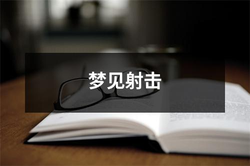 <h3>梦见射击