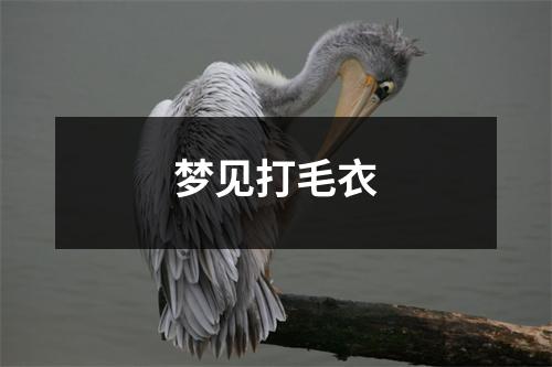 <h3>梦见打毛衣