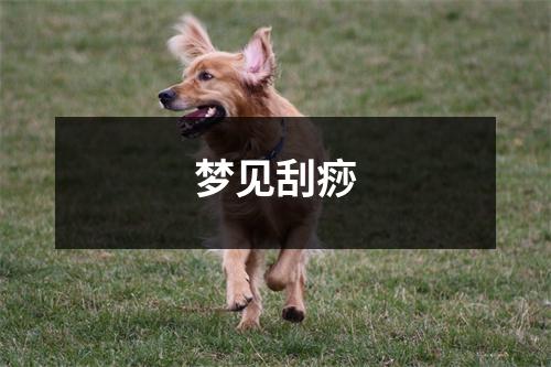 <h3>梦见刮痧