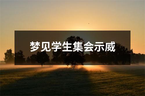 梦见学生集会示威