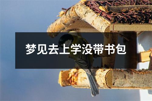 梦见去上学没带书包