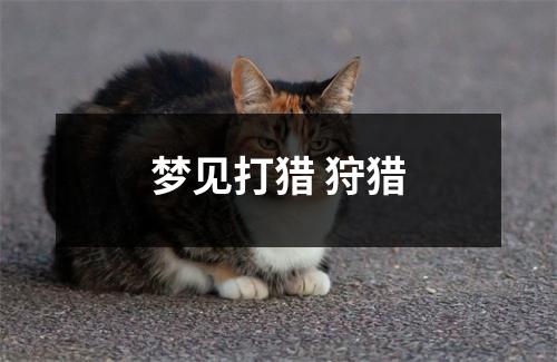 <h3>梦见打猎狩猎