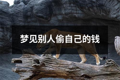 梦见别人偷自己的钱