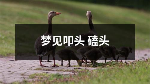 <h3>梦见叩头磕头