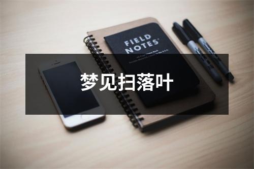 <h3>梦见扫落叶