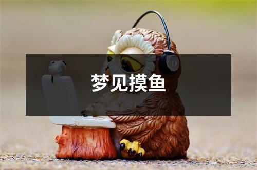 梦见摸鱼