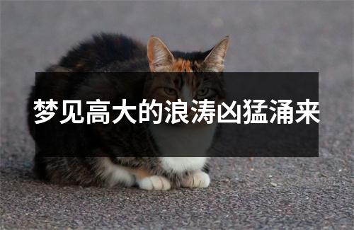 梦见高大的浪涛凶猛涌来