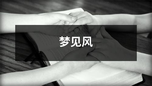 <h3>梦见风