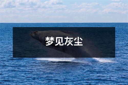 <h3>梦见灰尘