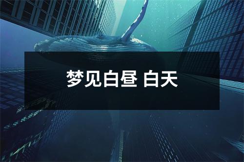 梦见白昼白天