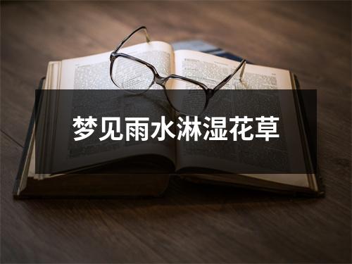 梦见雨水淋湿花草
