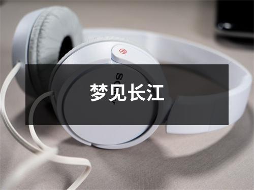<h3>梦见长江
