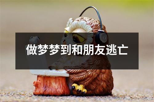 <h3>做梦梦到和朋友逃亡