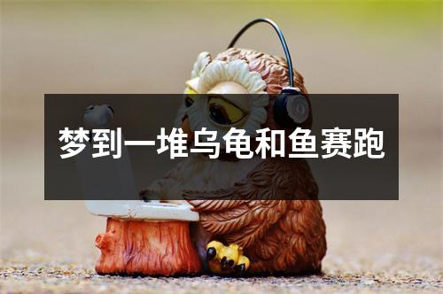 <h3>梦到一堆乌龟和鱼赛跑